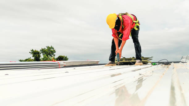 Steel Roofing in Forest Hills, PA